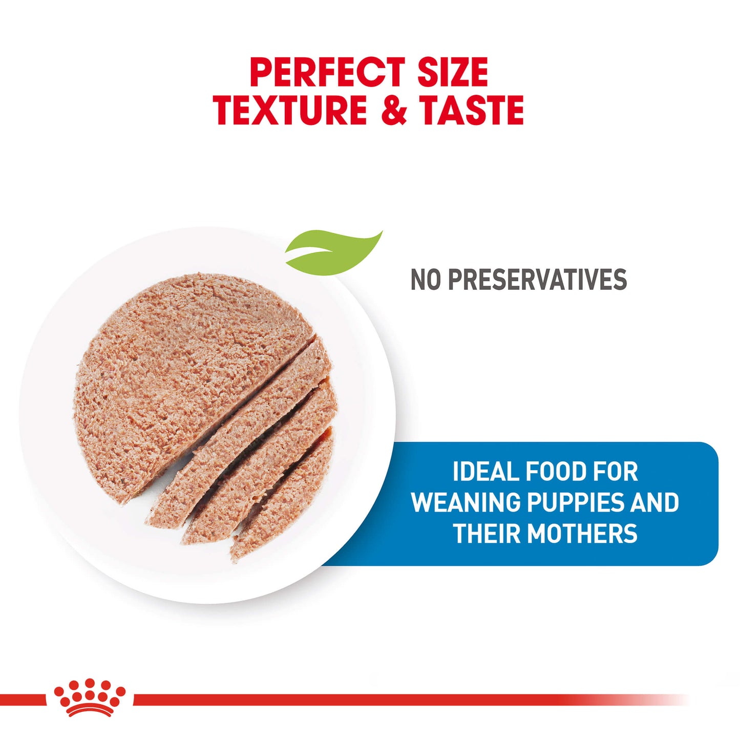 Royal Canin Mother and Babydog Mousse Dog Food Can