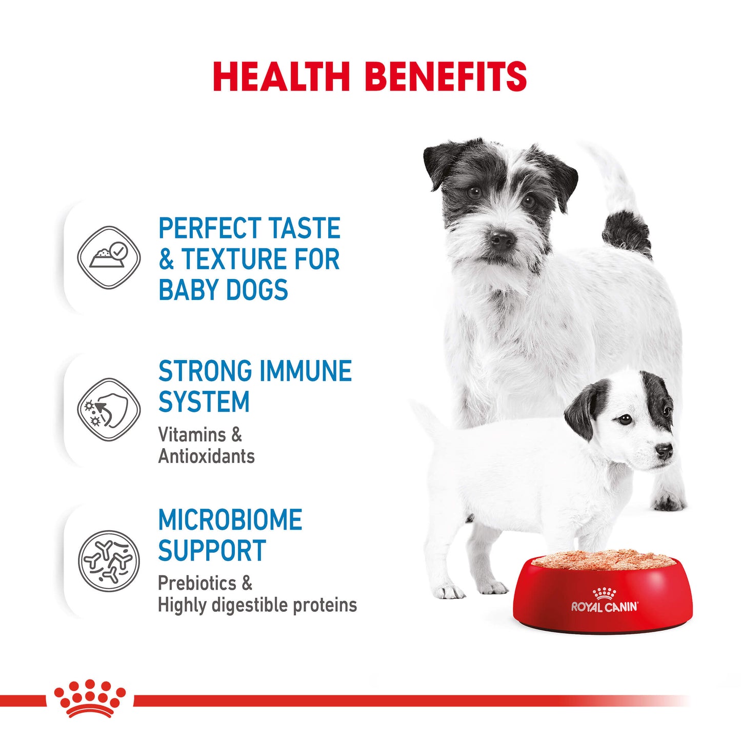 Royal Canin Mother and Babydog Mousse Dog Food Can