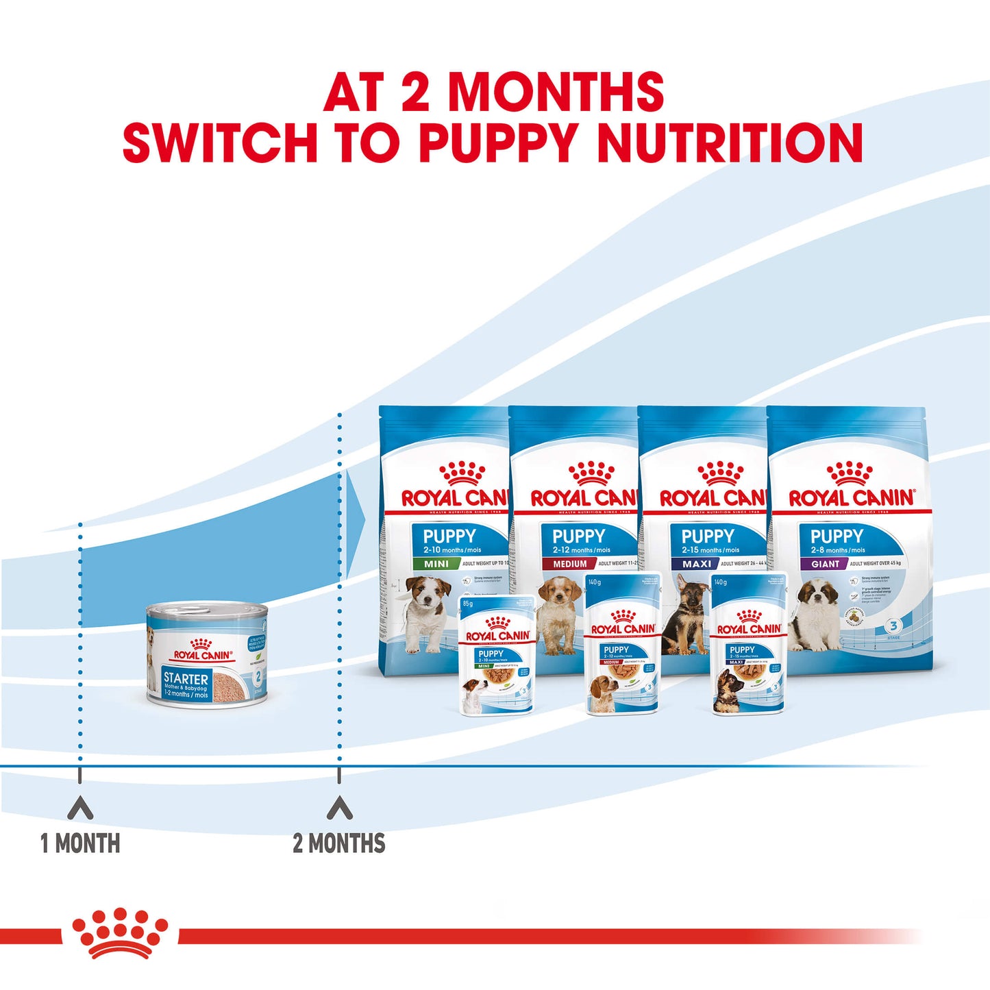 Royal Canin Mother and Babydog Mousse Dog Food Can