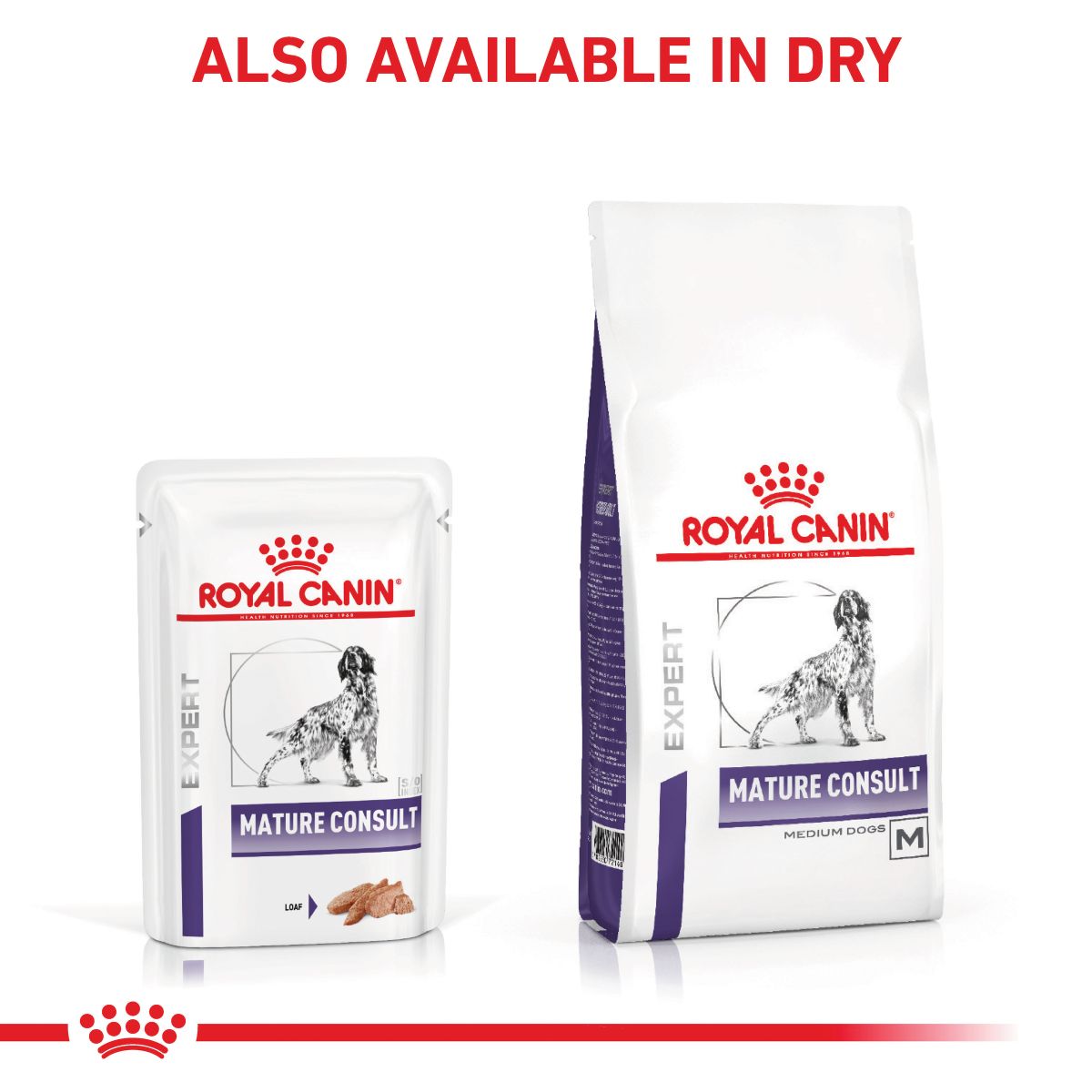 Royal Canin VET Mature Consult Loaf Wet Dog Food 85g