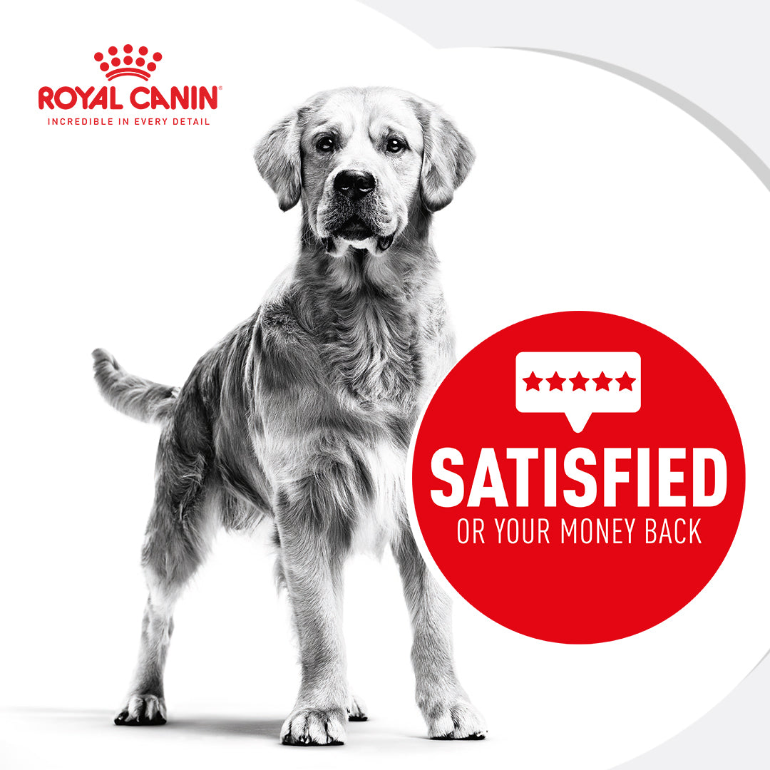 Royal Canin Maxi Dental Care Adult Dry Dog Food 9kg