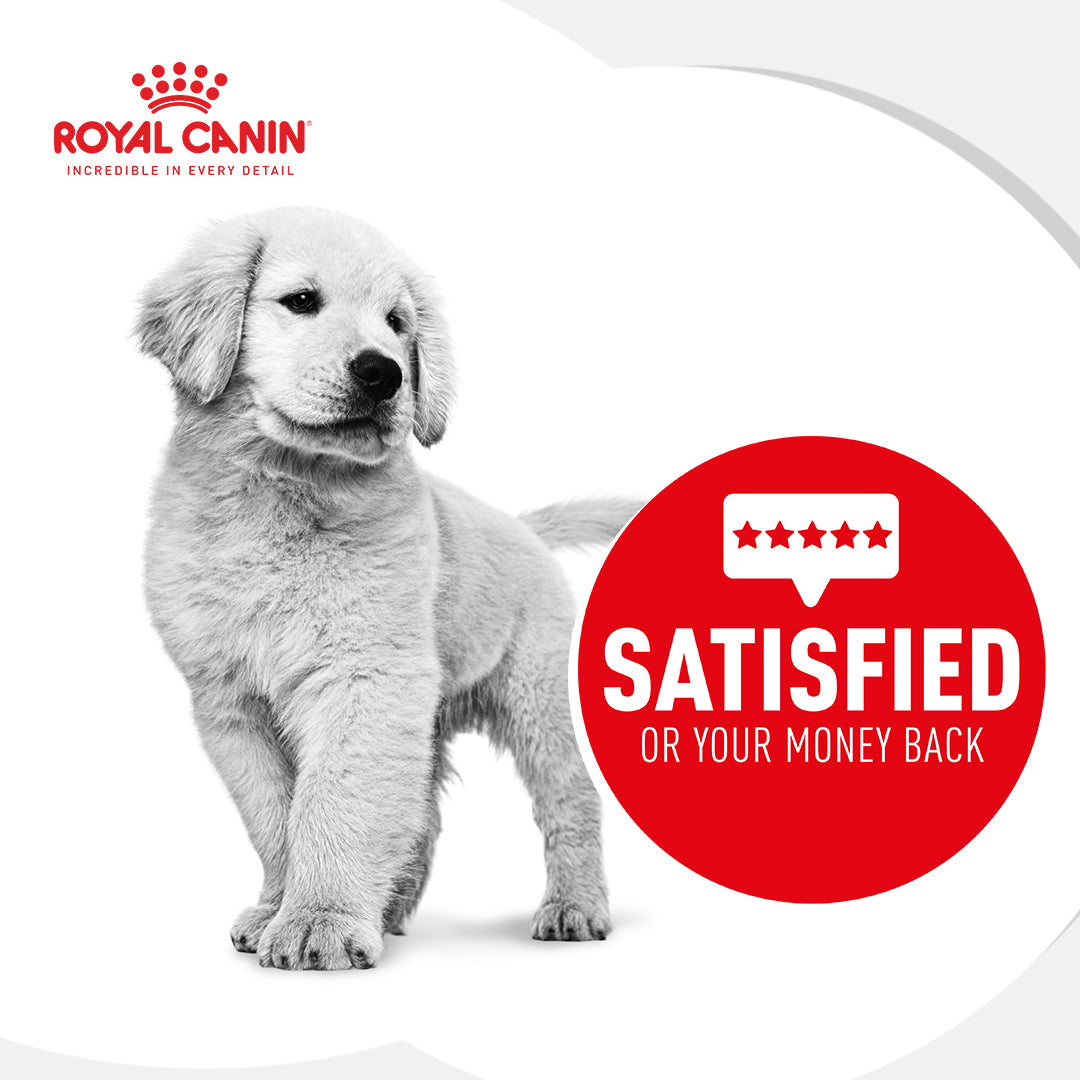 Royal Canin Mother and Babydog Mousse Dog Food Can