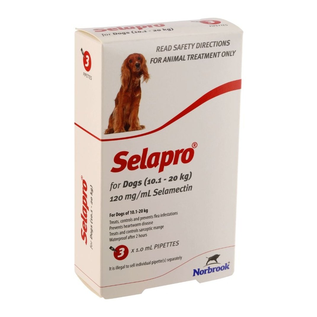 Selapro Flea & Worming Spot On Treatment 10.1-20kg Dog