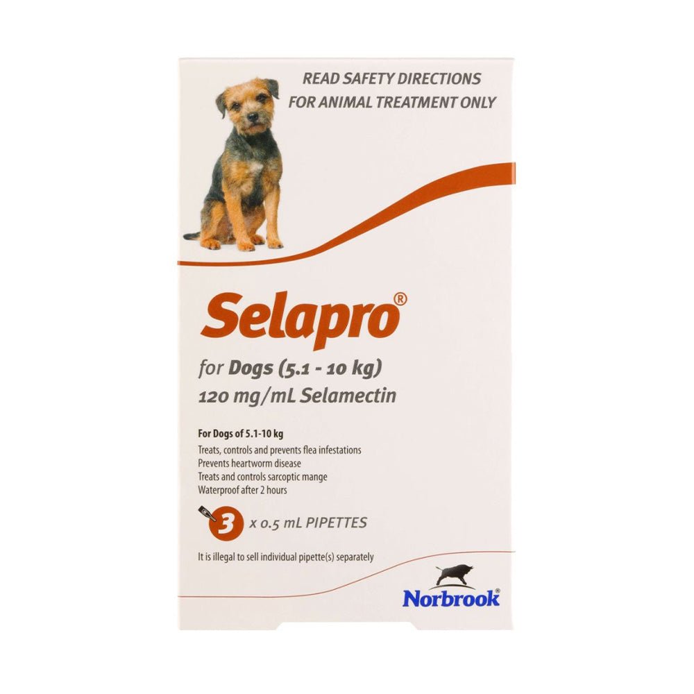 Selapro Flea & Worming Spot On Treatment 5.1-10kg Dog