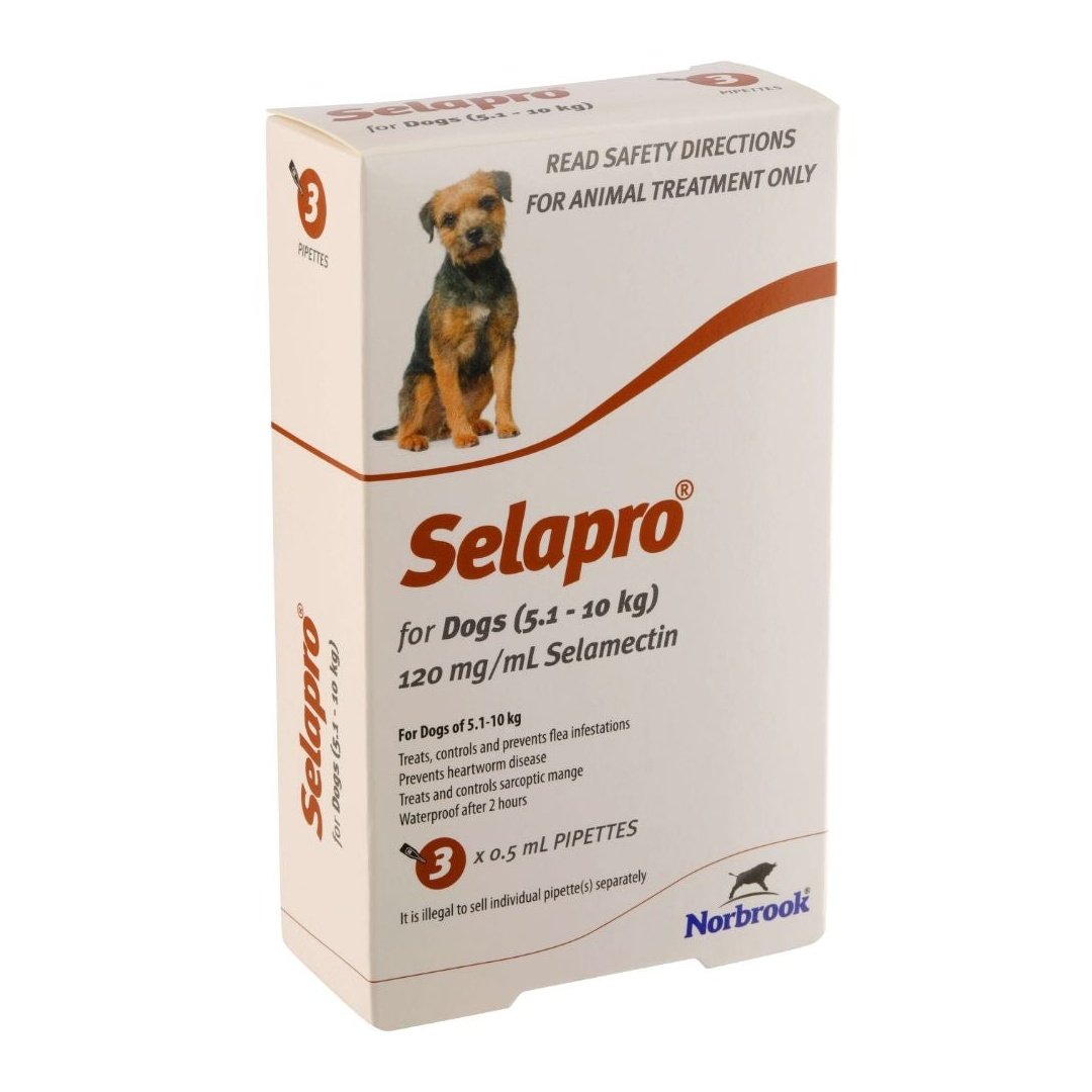 Selapro Flea & Worming Spot On Treatment 5.1-10kg Dog